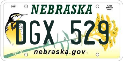 NE license plate DGX529