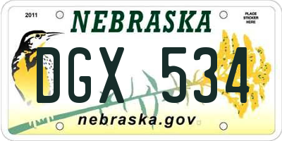 NE license plate DGX534