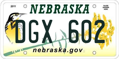 NE license plate DGX602