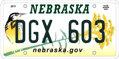 NE license plate DGX603
