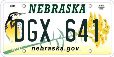 NE license plate DGX641
