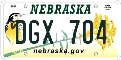 NE license plate DGX704