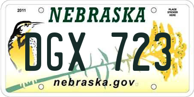 NE license plate DGX723