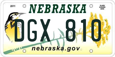 NE license plate DGX810