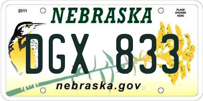 NE license plate DGX833