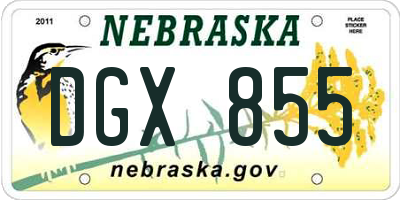NE license plate DGX855