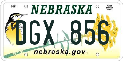NE license plate DGX856