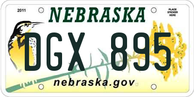NE license plate DGX895