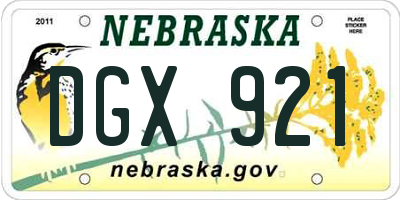 NE license plate DGX921