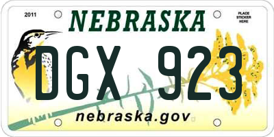 NE license plate DGX923