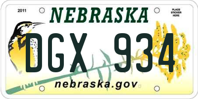 NE license plate DGX934