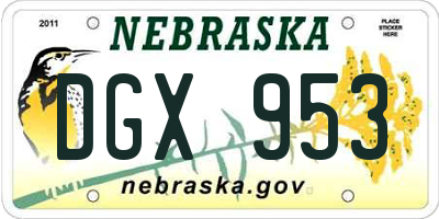 NE license plate DGX953