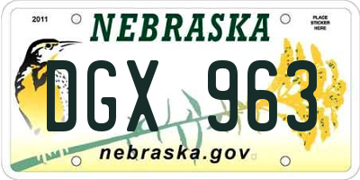 NE license plate DGX963