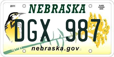 NE license plate DGX987