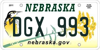 NE license plate DGX993