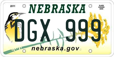 NE license plate DGX999