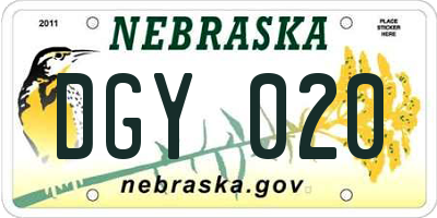 NE license plate DGY020