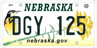 NE license plate DGY125