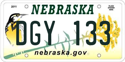 NE license plate DGY133
