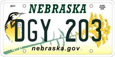 NE license plate DGY203