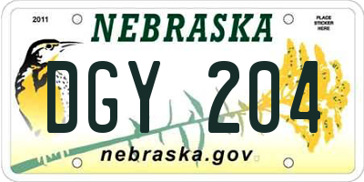 NE license plate DGY204