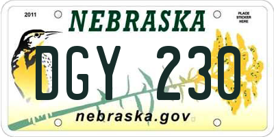 NE license plate DGY230