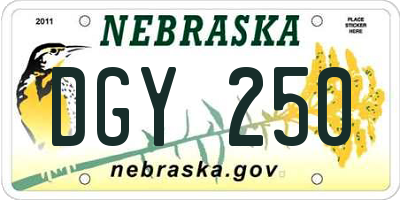 NE license plate DGY250