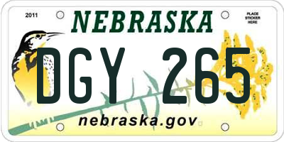 NE license plate DGY265