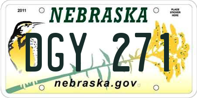 NE license plate DGY271