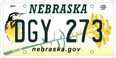 NE license plate DGY273
