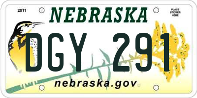 NE license plate DGY291