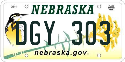 NE license plate DGY303
