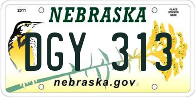 NE license plate DGY313