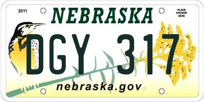 NE license plate DGY317