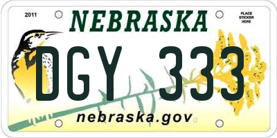 NE license plate DGY333
