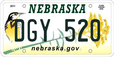 NE license plate DGY520