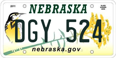 NE license plate DGY524