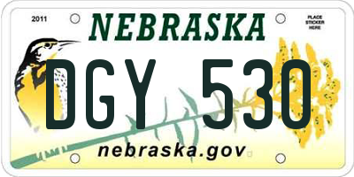NE license plate DGY530