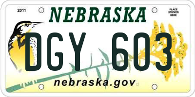 NE license plate DGY603