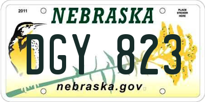 NE license plate DGY823