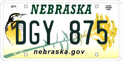 NE license plate DGY875