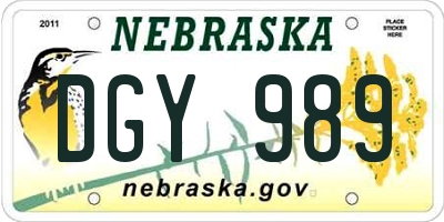 NE license plate DGY989