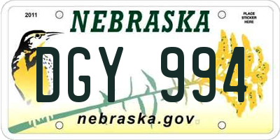 NE license plate DGY994