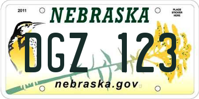 NE license plate DGZ123