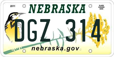 NE license plate DGZ314