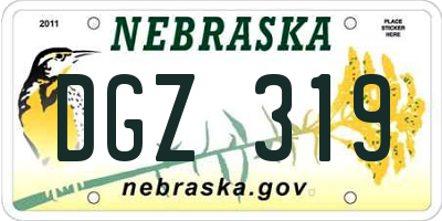 NE license plate DGZ319