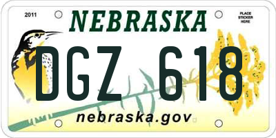 NE license plate DGZ618