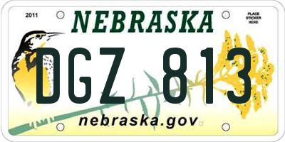 NE license plate DGZ813