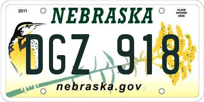 NE license plate DGZ918