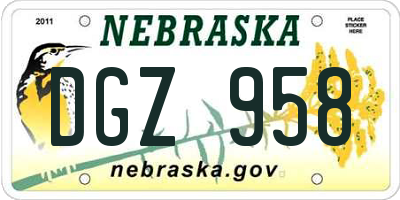 NE license plate DGZ958